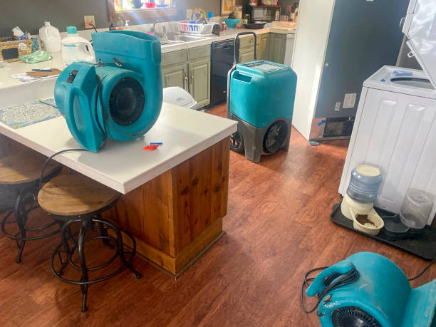  Paris, TX Water damage restoration Pros