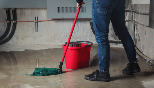 Best Ceiling water damage repair  in Paris, TX
