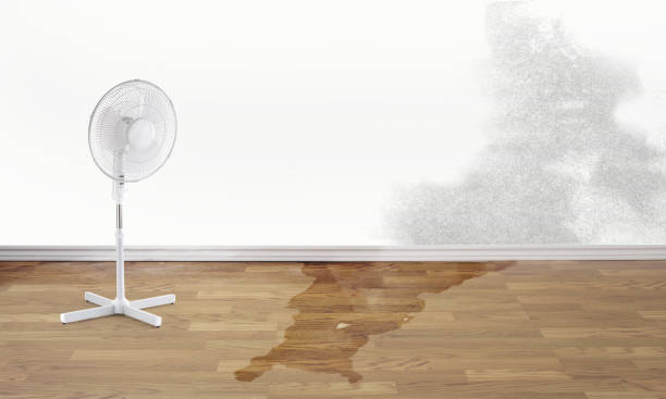Best Emergency water damage restoration  in Paris, TX