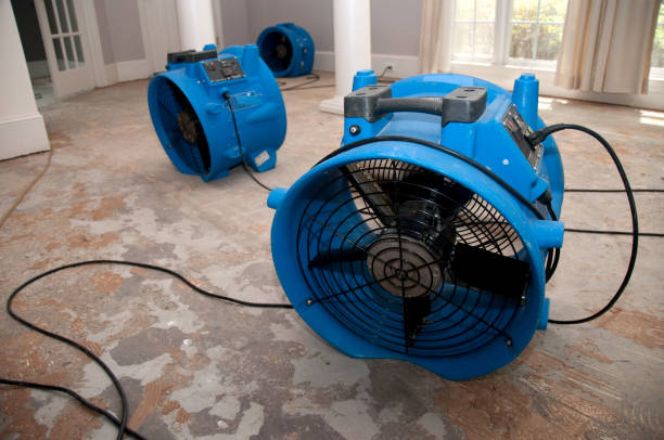 Best Water damage mitigation services  in Paris, TX