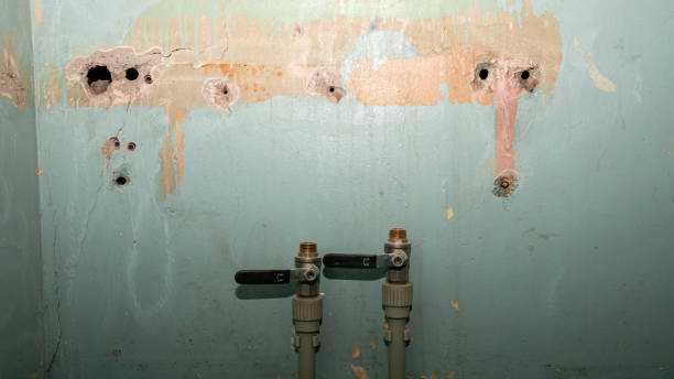 Best Local water damage restoration  in Paris, TX
