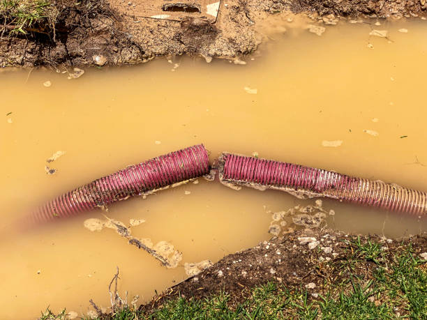 Best 24-hour water damage restoration  in Paris, TX